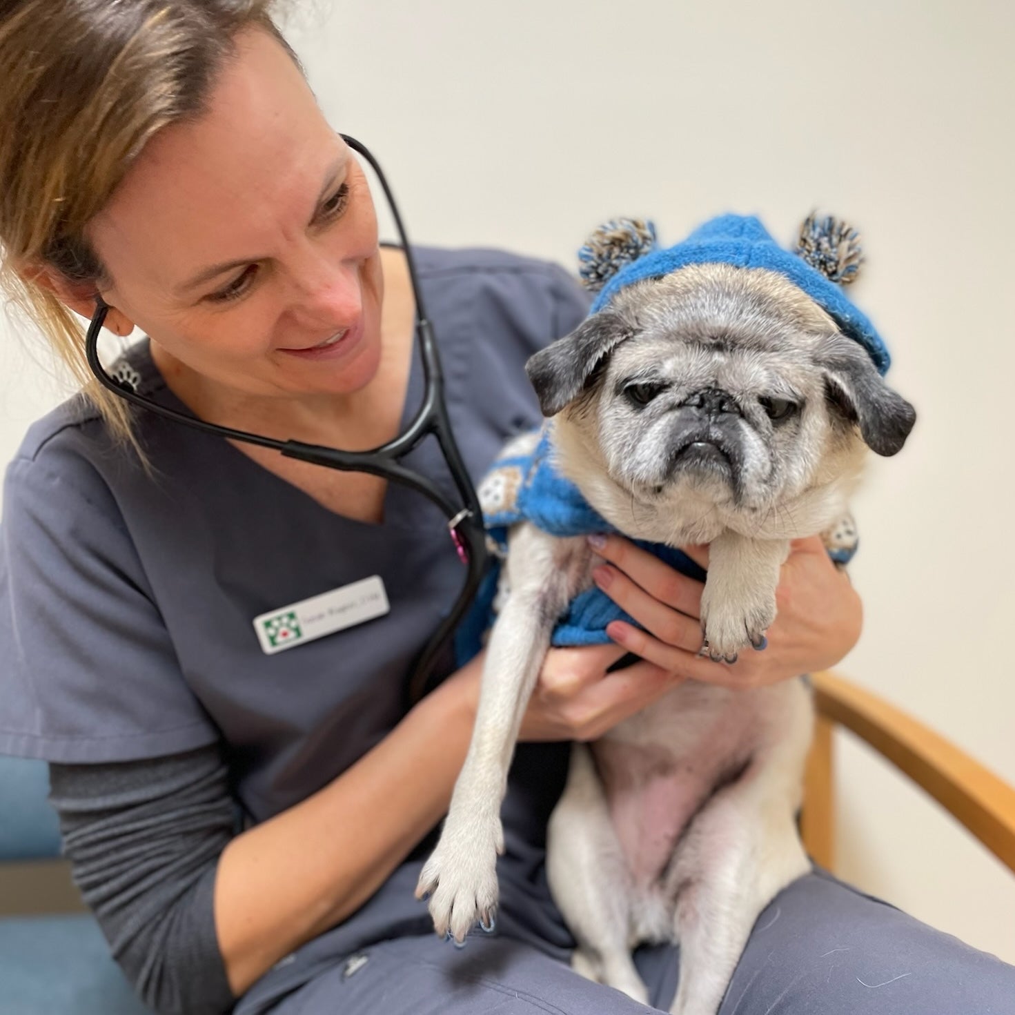 Cedar Ridge Animal Hospital