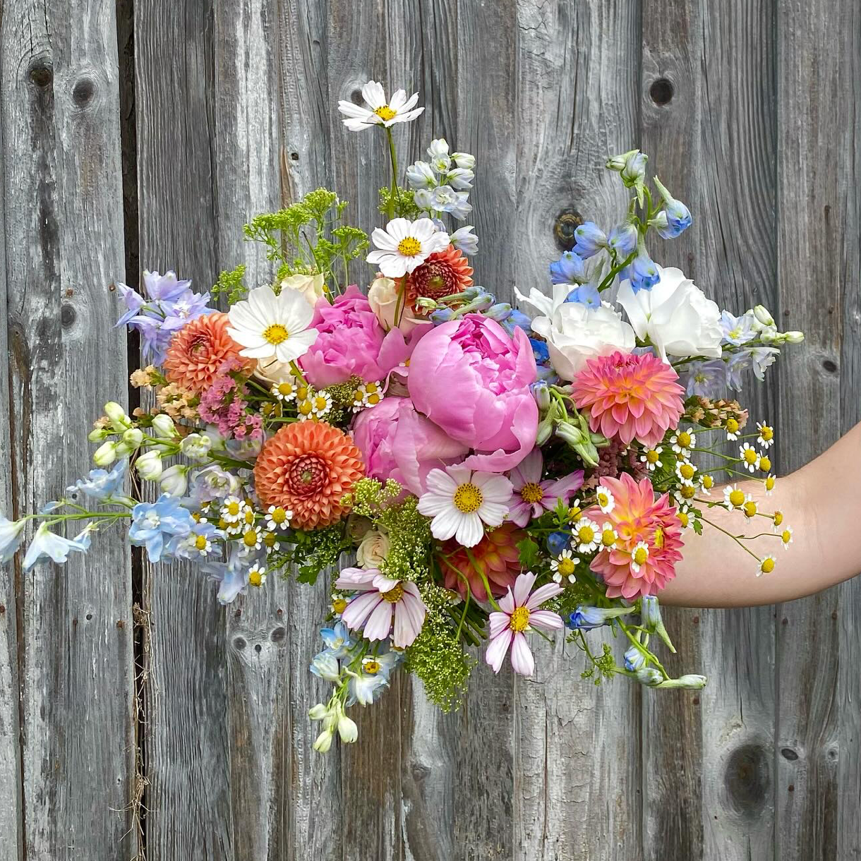 Carolina Flowers